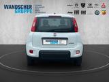 Fiat Panda MY24 Hybrid 1.0 GSE 70PS KLIMAANLAGE*RADIO - Fiat Panda Gebrauchtwagen in Bremen