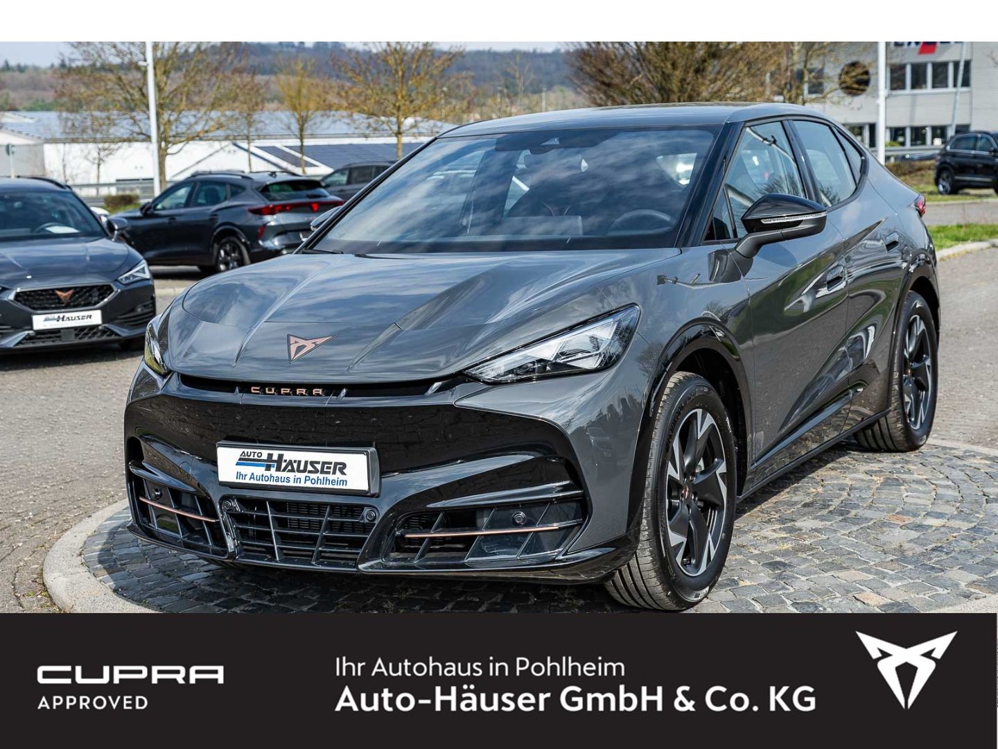 Cupra Tavascan Endurance 77 kWh WÄRMEPUMPE KAMERA ACC 