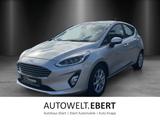 Ford Fiesta 1.0 EcoBoost Hybrid Titanium X - Ford Fiesta Gebrauchtwagen in Mannheim