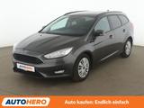 Ford 1.0 EcoBoost Business *NAV*TEMP*PDC*SHZ*ALU* - Ford Focus: Business