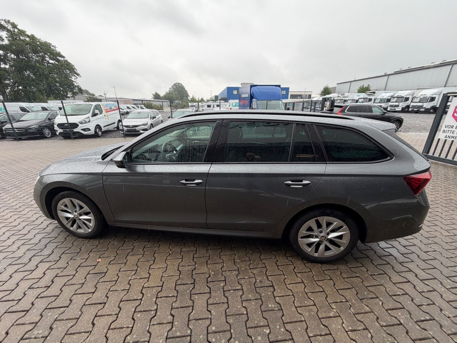 Fahrzeugabbildung SKODA Octavia Combi Style