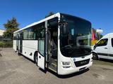 MAN Lions Intercity 57+26 Überland Gepäckraum - Jumbo-Lkw
