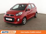 Kia Picanto 1.0 Sensation*KLIMA*CD-PLAYER*BT* - Kia Picanto Gebrauchtwagen in Köln