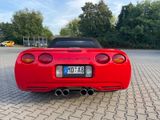 Corvette C5  Z06 Cabrio 50th Anniversary - Corvette aus 2003