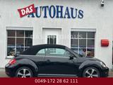Volkswagen Beetle Cabriolet BMT 79000 KM - gebrauchte VW Beetle aus dem Jahr 2015