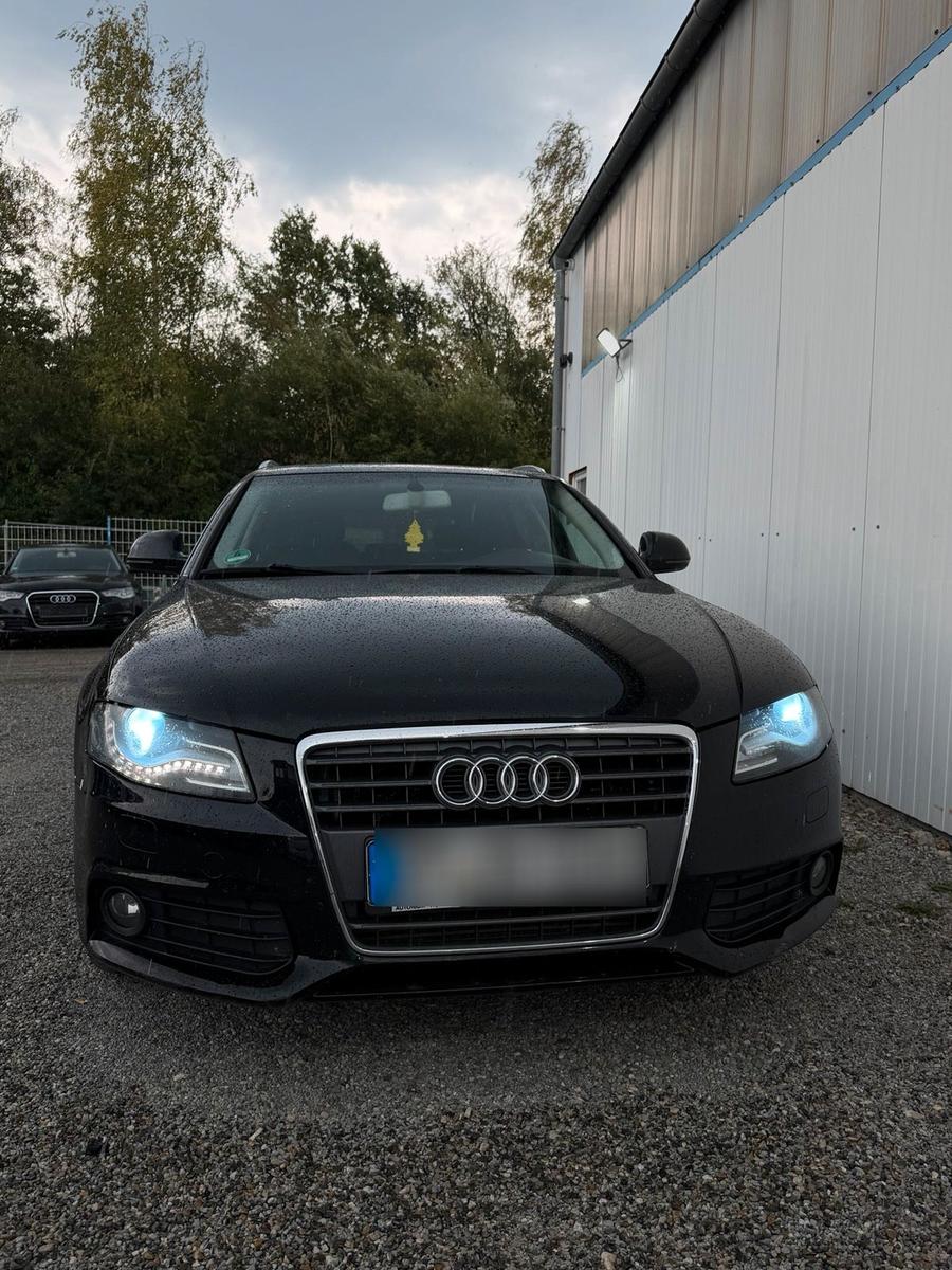 Audi A4 2009 — вигляд ззаду