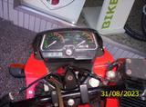 Jawa Dandy - JAWA MOTORRAD