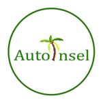 Autoinsel