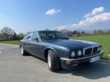 Jaguar XJ12 / XJ81 sehr seltenes Fahrzeug - Jaguar aus 1993