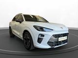 Cupra Terramar 1.5 e-Hybrid DSG | AHK | Business Paket - Cupra Terramar mit Anhängerkupplung