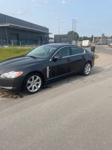 Jaguar XF 3.0 V6 Diesel Luxury Luxury - Jaguar XF aus 2011