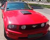 Ford Mustang - Ford Mustang in Mannheim