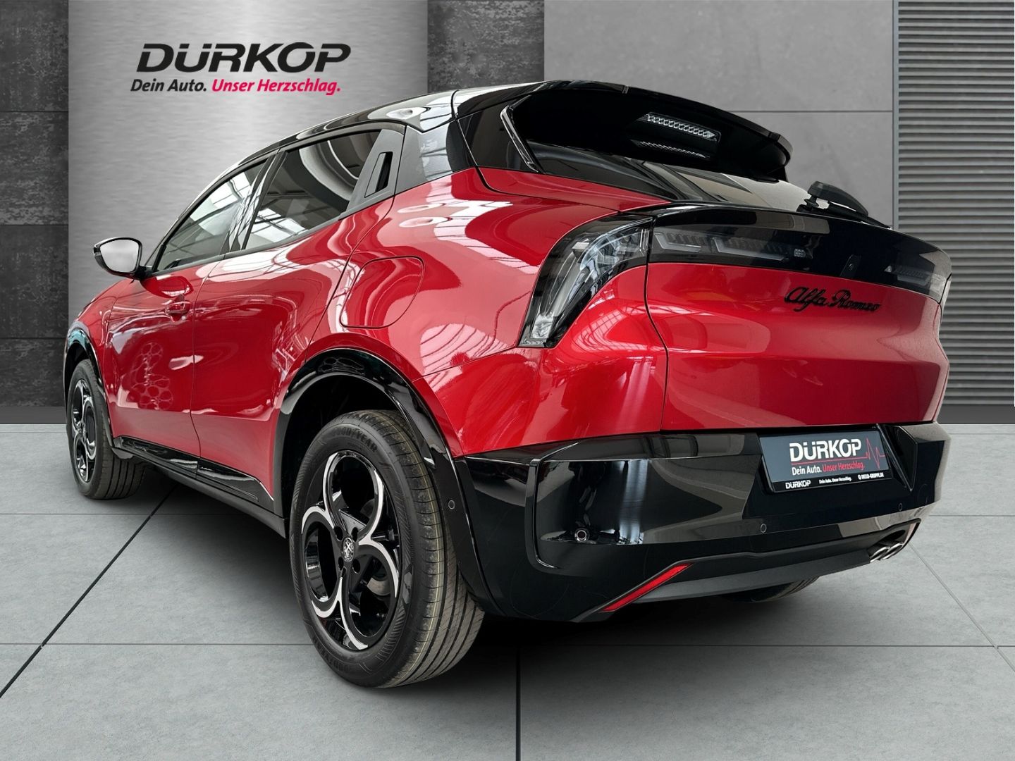 Alfa Romeo Junior - Bild 3