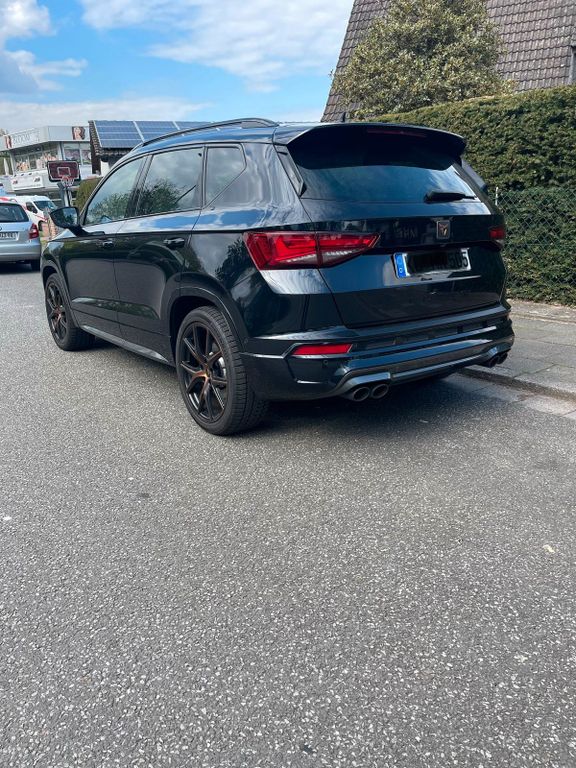 Image of Other Other