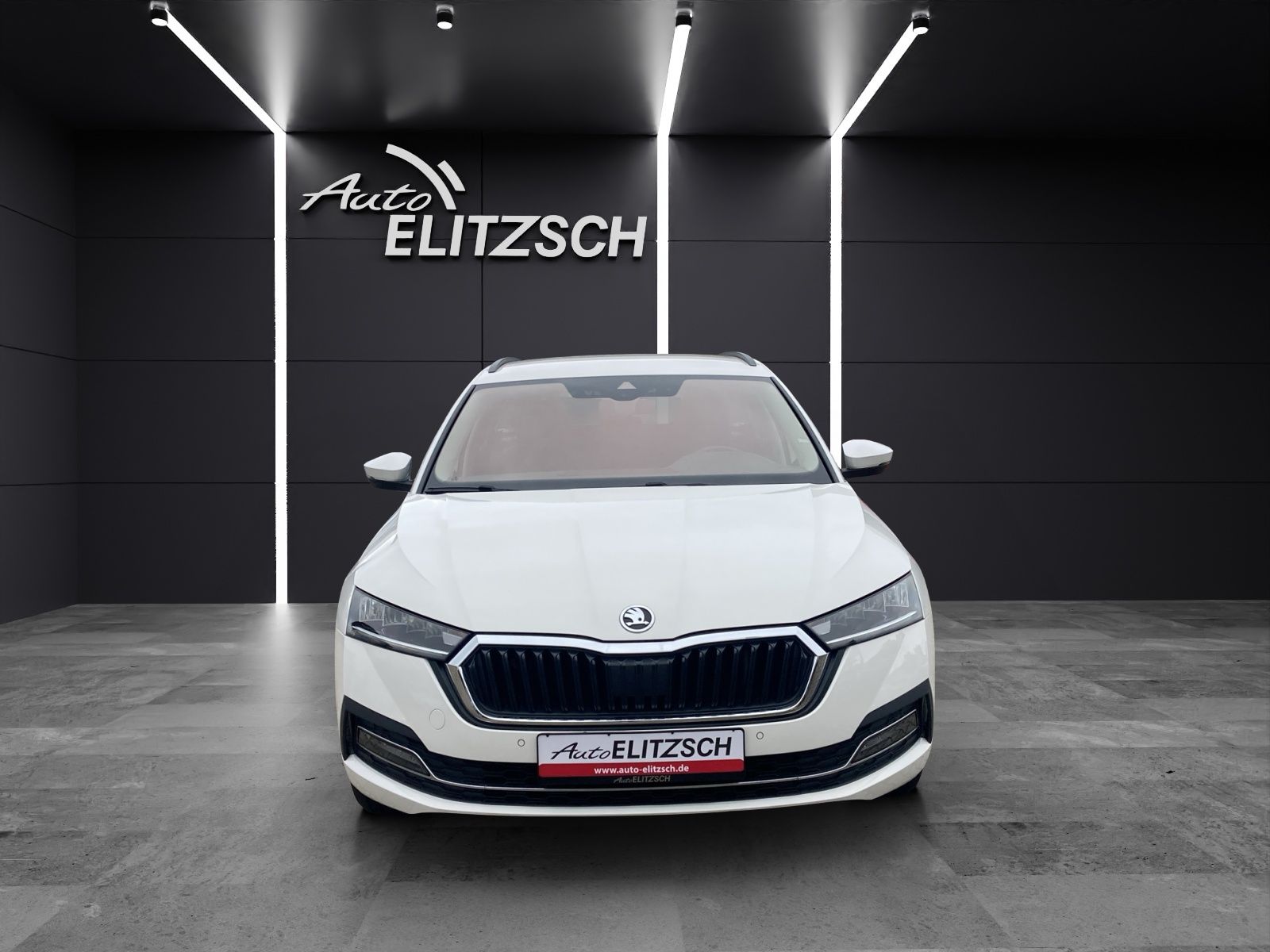 Fahrzeugabbildung SKODA Octavia Combi TDI First-Edition DSG LED Navi PDC