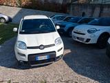 Fiat Panda 1.0 FireFly S&S Hybrid - Fiat Panda Cabrio Gebrauchtwagen