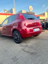 Fiat Punto zum verkaufen ! - Fiat Punto mit Benzin-Antrieb: Cabrio