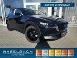Mazda CX-30 Homura Klimaaut Sitzheizg Tempomat RFK Fre - Mazda CX-30 Tageszulassungen