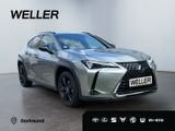 Lexus UX 250h Style+ Edition *LED*CarPlay*CAM*SHZ*TWA* - Lexus in Dortmund