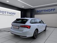 Skoda Octavia - Vorschau Bild 6