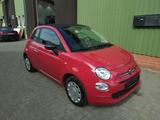 Fiat 500C, Cabrio, Service + TÜV ohne Mängel neu! - Fiat 500: N