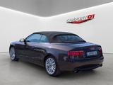 Audi A5 Cabriolet 2.0 TFSI/S-LINE/Verdeck Neu/Scheckh - Audi A5 aus 2009: Line