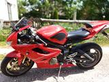 Triumph Daytona 675 - TRIUMPH DAYTONA 675