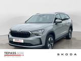 Skoda Kodiaq 2,0l TDI Selection ASSI WINTER INFO PLUS - Skoda Kodiaq aus 2025