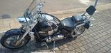 Honda VTX 1800F Garagenfahrzeug, wenig KM - Angebote