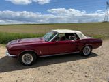 Ford Mustang Cabrio, V8, Automatik, TOP ZUSTAND  - Ford Mustang aus 1967: Cabrio