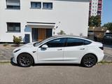 Tesla Model 3 Hinterradantrieb RWD - Tesla Model 3 in Ludwigshafen