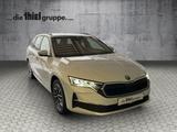Skoda Octavia Combi 2.0 TDI Selection Tour DSG AHK+ACC - Skoda Octavia: Combi Tour
