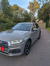 Audi Q5 50 TFSI e S tronic quattro sport S-Line Pano  - Audi Q5 mit Hybrid-Antrieb: Grau, Head-Up Display