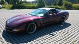 Chevrolet Corvette C5 BJ 2003 - Chevrolet: Corvet