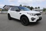 Land Rover Discovery Sport Pure - Land Rover Gebrauchtwagen in Osnabrück