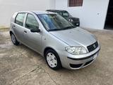 Fiat Punto 1.3 Multijet 16V 5 porte Actual - Fiat Punto: Actual