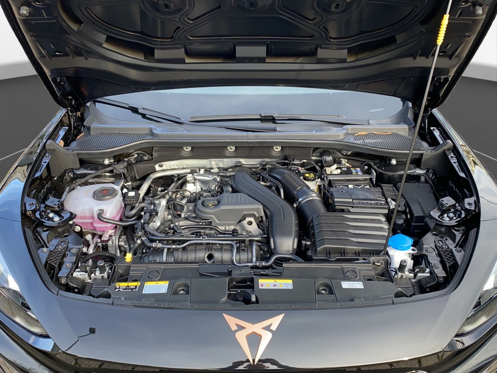 Cupra Formentor - Bild 23