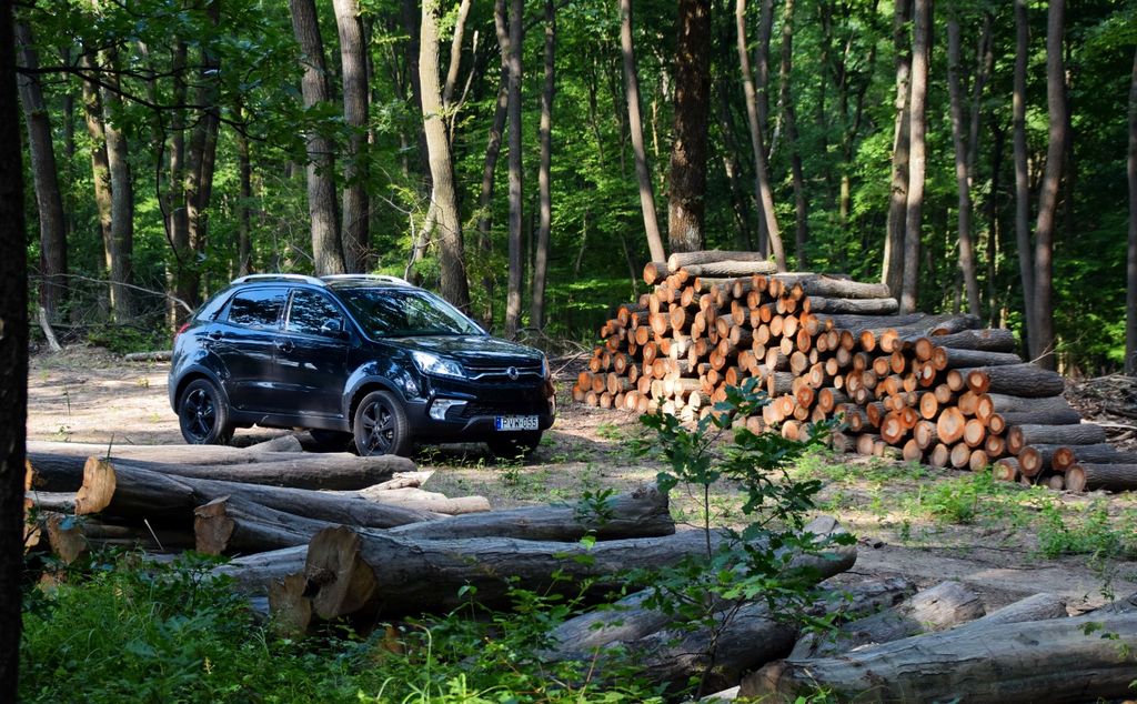 Image of Ssangyong Korando