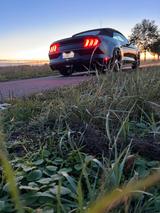 Ford Mustang 6| V6 |Unfallfrei|Grail Klapp... - Ford Mustang: Cabrio, V6