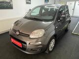 Fiat New Panda 1.2 Garagenwagen Rentner geb.1940 - Fiat aus 2018