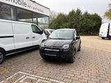 Fiat Panda City Plus - Fiat Panda Gebrauchtwagen in Mannheim