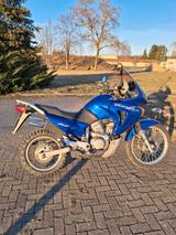 Honda Transalp XL 650 V RD 10 / 17146Km - Angebote