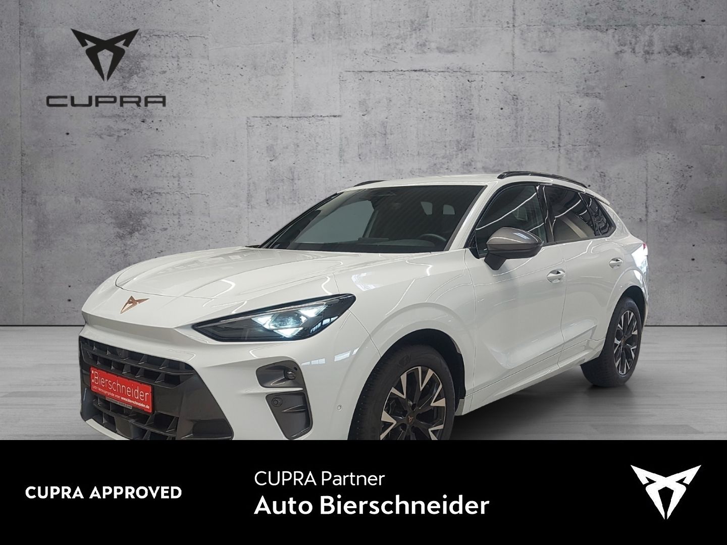 Cupra Terramar 1.5 eTSI DSG Navi Head Up Top View Keyl