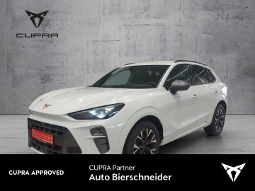 Cupra Terramar - 1