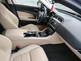 Jaguar XE 20d 163PS Portfolio Automatik Po... - scheckheftgepflegte Jaguar Daimler