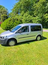 Volkswagen Caddy 1,6TDI 75kW LKW Zulassung - Volkswagen Caddy: Lkw Zulassung