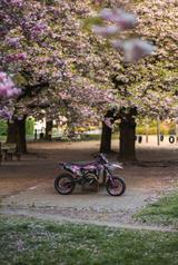 Husqvarna FE 501 Supermoto (ALLES EINGETRAGEN!) - Angebote entsprechen deinen Suchkriterien