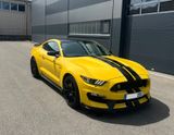 Ford Mustang Shelby GT 350 - Ford Mustang: Gt350 Shelby