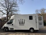 Fiat Ducato Pferdetransporter (Theault) - Fiat Ducato in Hannover