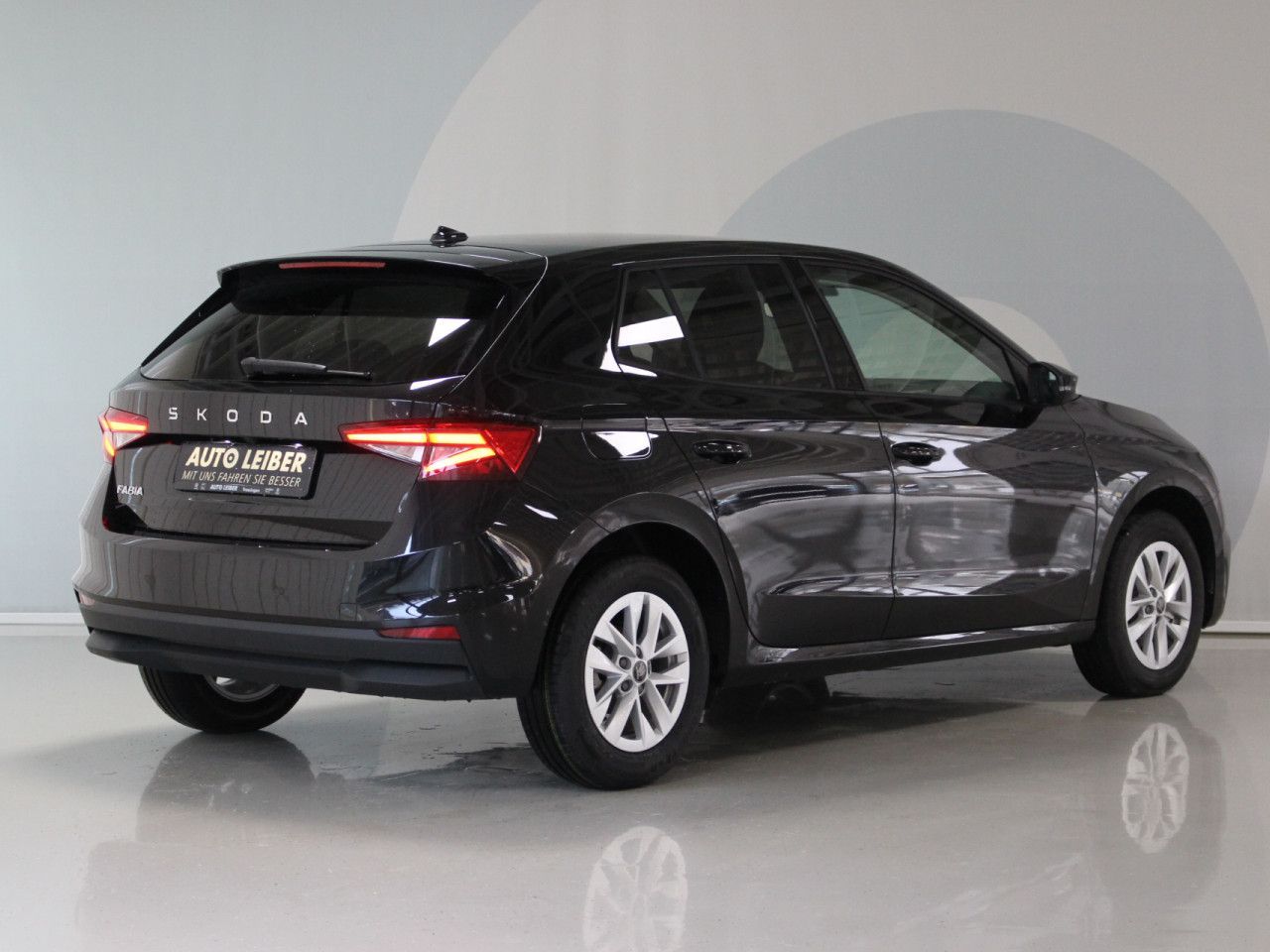 Fahrzeugabbildung SKODA Fabia 1.0 TSI Selection DSG/CAM/PDC/WINTER